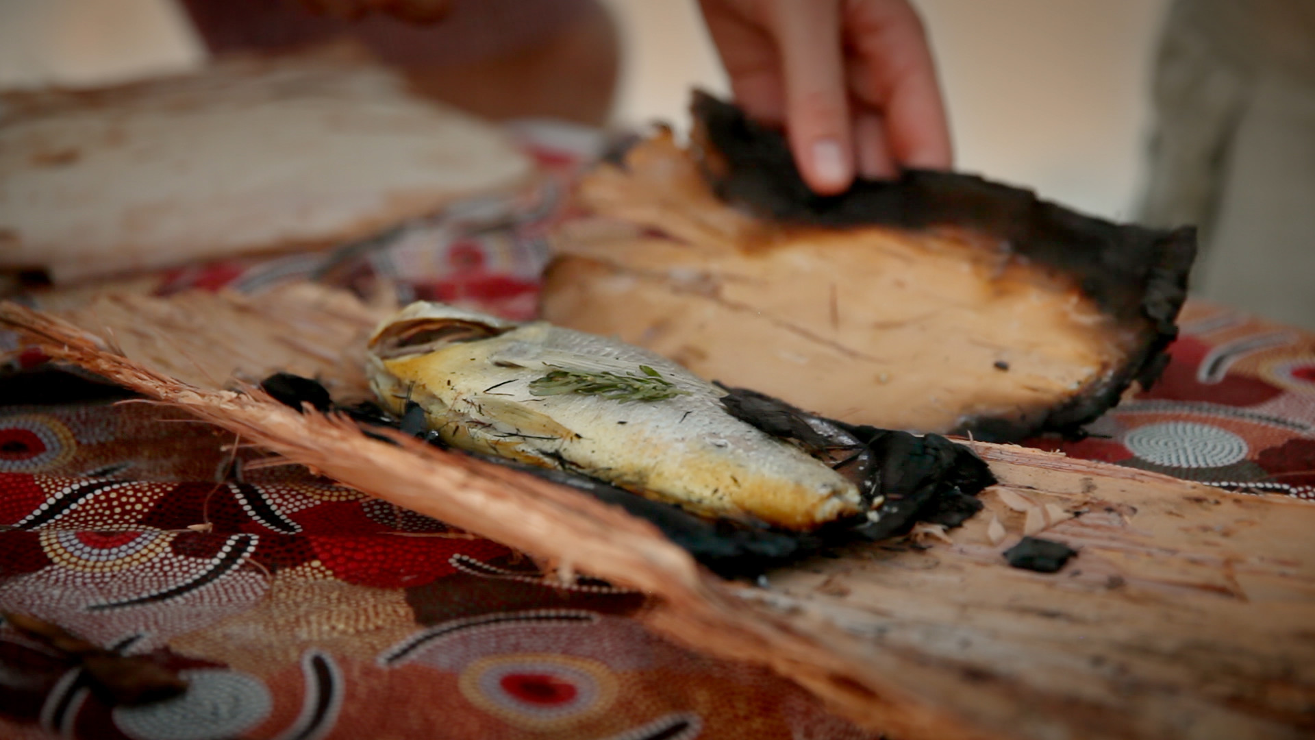 12: Learning about Wudjari Culture